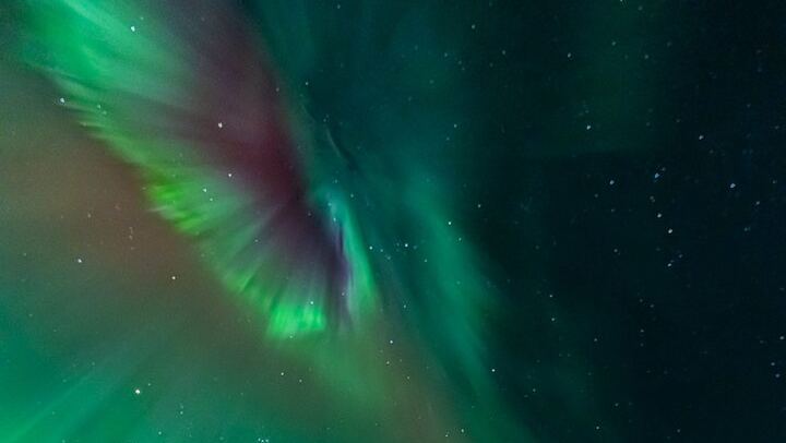 Rovaniemi Aurora Tour with Money Back Guarantee and Free Photos, 4 to 6 Hours (4/7)