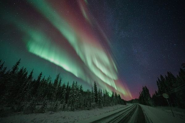 Rovaniemi Aurora Tour with Money Back Guarantee and Free Photos, 4 to 6 Hours