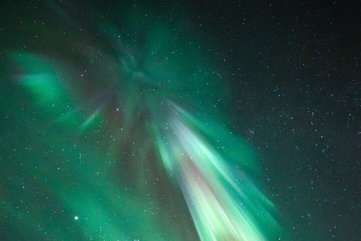 Rovaniemi Aurora Tour with Money Back Guarantee and Free Photos, 4 to 6 Hours (2/7)