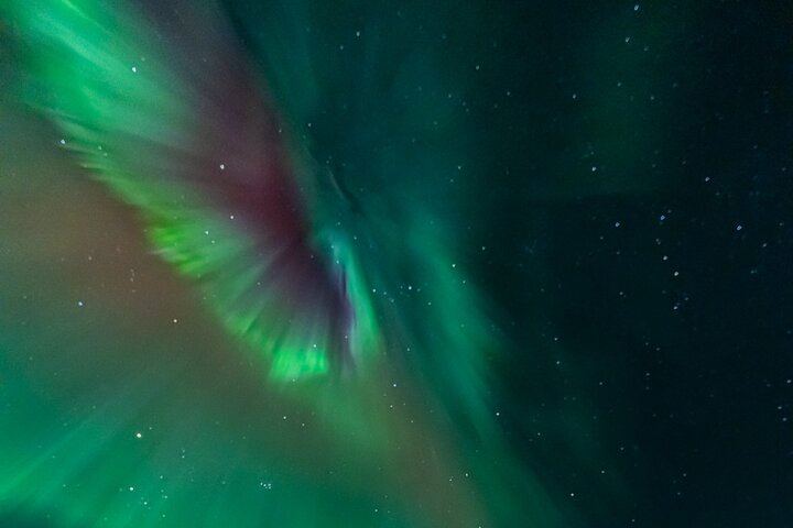 Rovaniemi Aurora Tour with Money Back Guarantee and Free Photos, 4 to 6 Hours (4/7)