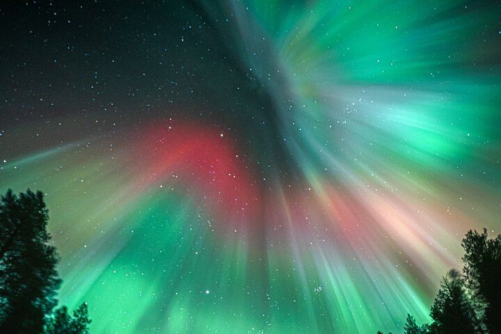 Rovaniemi Aurora Tour with Money Back Guarantee and Free Photos, 4 to 6 Hours (6/7)