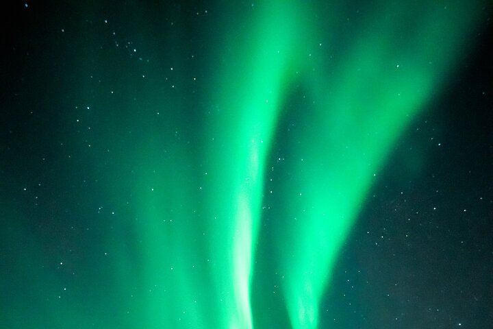 Rovaniemi Aurora Tour with Money Back Guarantee and Free Photos, 4 to 6 Hours (5/7)
