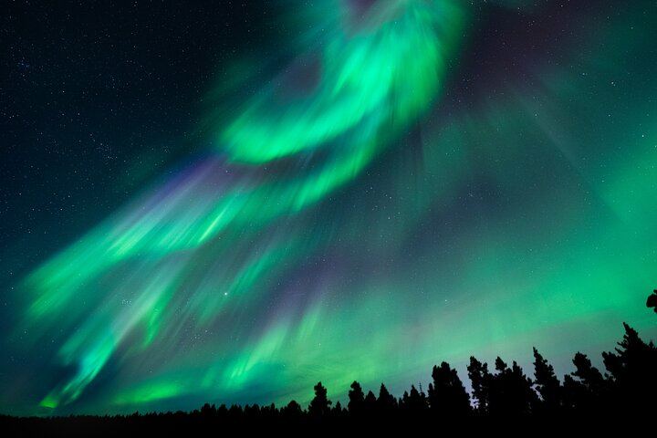 Heated Coach Aurora Hunt from Rovaniemi with Photos and No Aurora, No Payment (5/12)