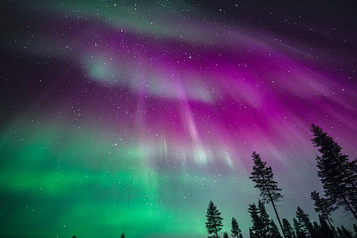 Rovaniemi Aurora Tour with Money Back Guarantee and Free Photos, 4 to 6 Hours (1/7)