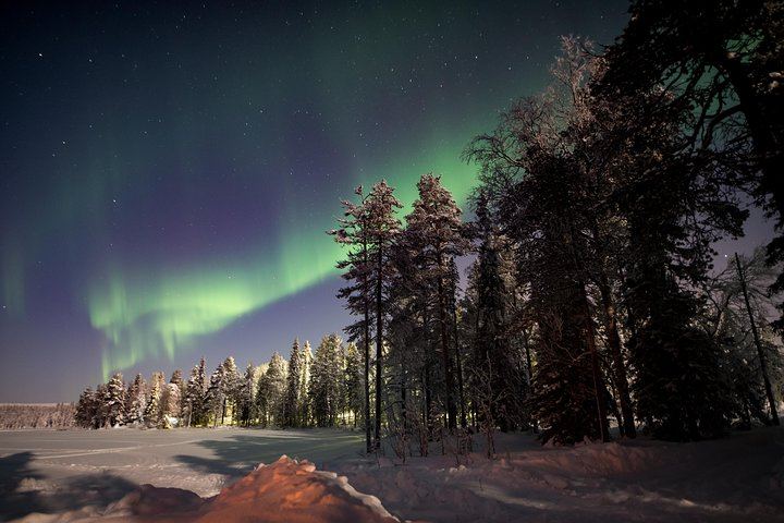 Private Northern Lights Hunting Expedition from Rovaniemi, 2 to 6 People (8/10)