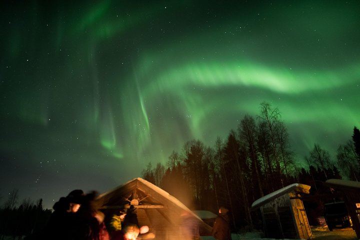 Rovaniemi Aurora Pass: 3 or 5 Days of Unlimited Northern Lights Chasing (1/12)