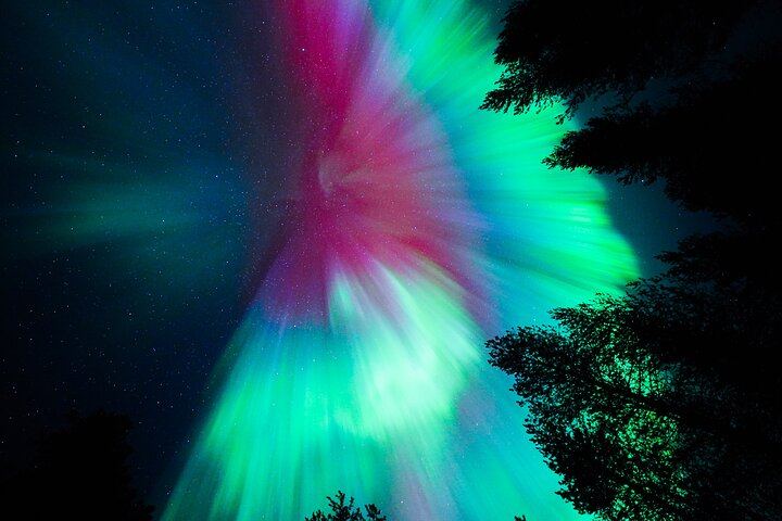 Guaranteed Small Group Aurora Expedition from Rovaniemi with DSLR Photos (11/12)