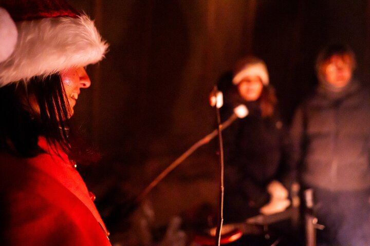 Meet Santa Claus on Private Arctic Land and Watch for the Northern Lights (9/12)