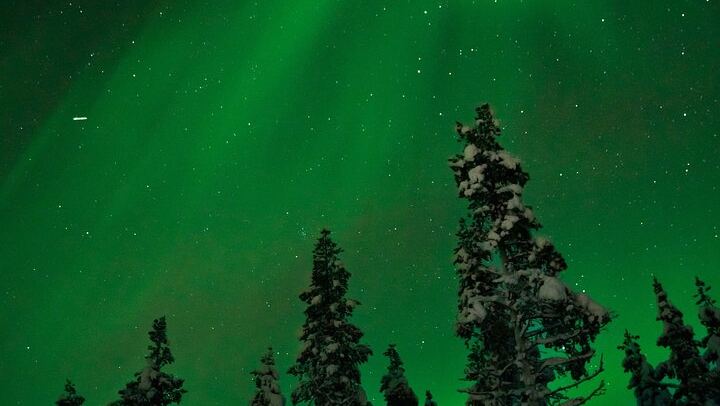 Two Hour Guided Northern Lights Tour from Rovaniemi (1/3)