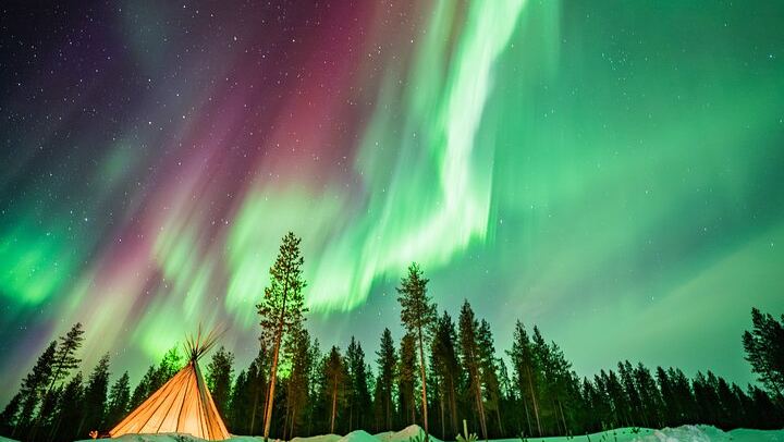 Chasse aux aurores en minibus au départ de Rovaniemi, avec feu de camp, barbecue lapon et transfert (2/10)