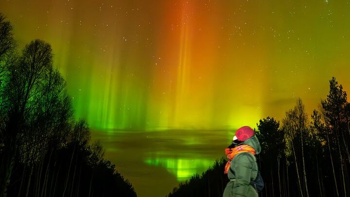 Rovaniemi Aurora Hunting and Photography Tour with Hotel Pickup at 20:00