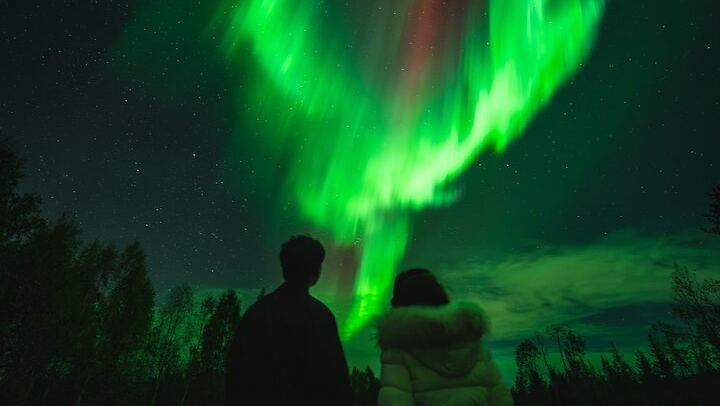 Geld-zurück-Garantie: Busfahrt von Rovaniemi nach Aurora mit kostenlosen Fotos (4/12)