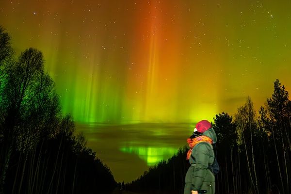Rovaniemi Aurora Hunting and Photography Tour with Hotel Pickup at 20:00