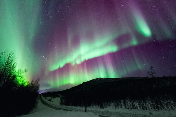 Private Aurora Chase from Rovaniemi by Luxury SUV, No Distance Limit