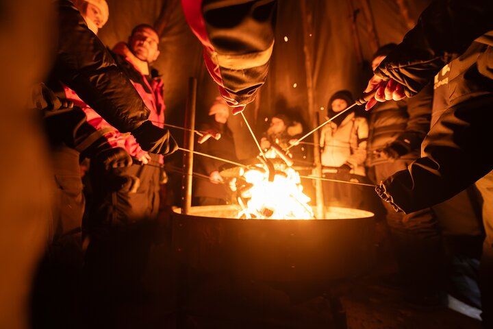 Chasse aux aurores en minibus au départ de Rovaniemi, avec feu de camp, barbecue lapon et transfert (8/10)