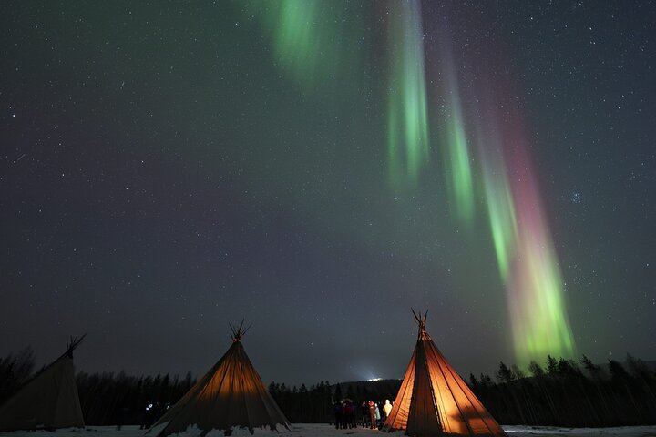 Chasse aux aurores en minibus au départ de Rovaniemi, avec feu de camp, barbecue lapon et transfert (5/10)