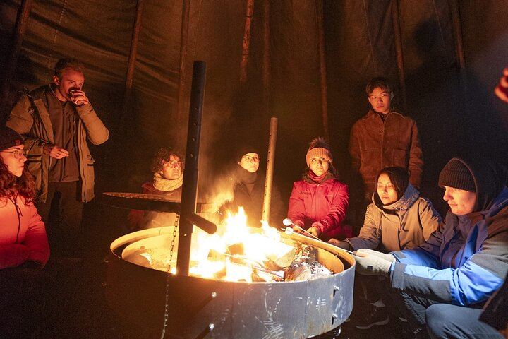 Chasse aux aurores en minibus au départ de Rovaniemi, avec feu de camp, barbecue lapon et transfert (7/10)