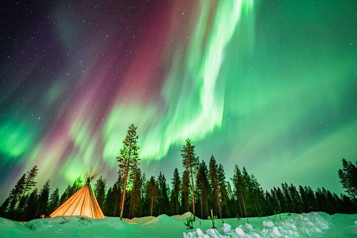 Chasse aux aurores en minibus au départ de Rovaniemi, avec feu de camp, barbecue lapon et transfert (2/10)