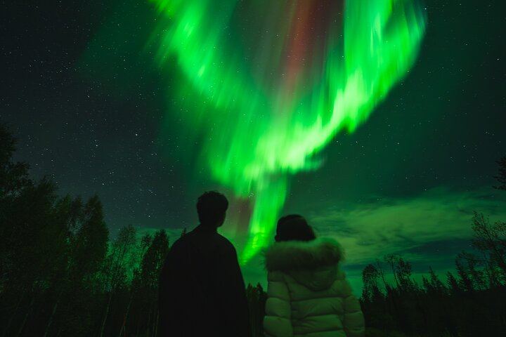 Geld-zurück-Garantie: Busfahrt von Rovaniemi nach Aurora mit kostenlosen Fotos (4/12)