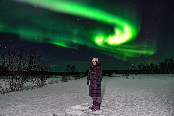 Geld-zurück-Garantie: Busfahrt von Rovaniemi nach Aurora mit kostenlosen Fotos (11/12)