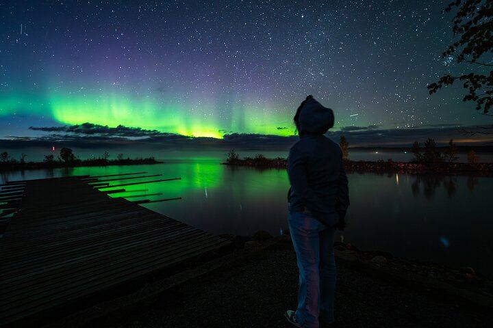 Geld-zurück-Garantie: Busfahrt von Rovaniemi nach Aurora mit kostenlosen Fotos (5/12)