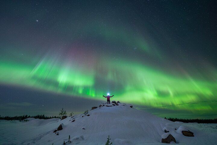 Aurora Hunt from Rovaniemi with a Professional Photographer (9/12)