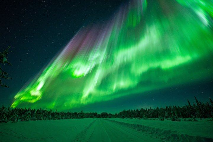 Aurora Hunt from Rovaniemi with a Professional Photographer (8/12)