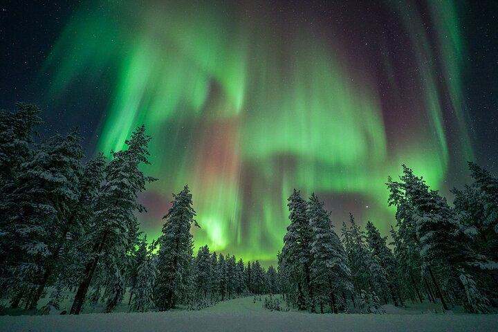 Aurora Hunt from Rovaniemi with a Professional Photographer (5/12)