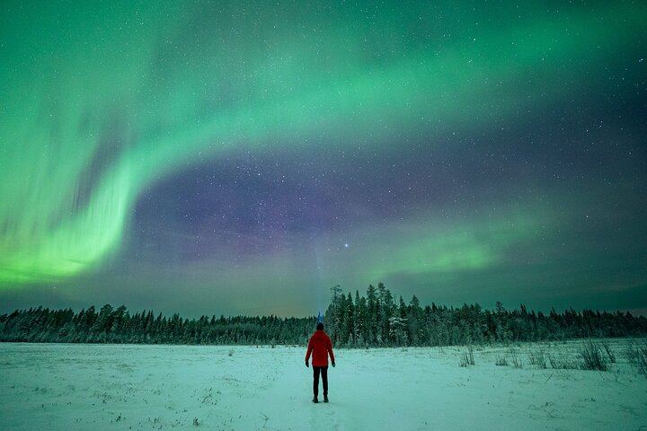 Aurora Hunt from Rovaniemi with a Professional Photographer (12/12)