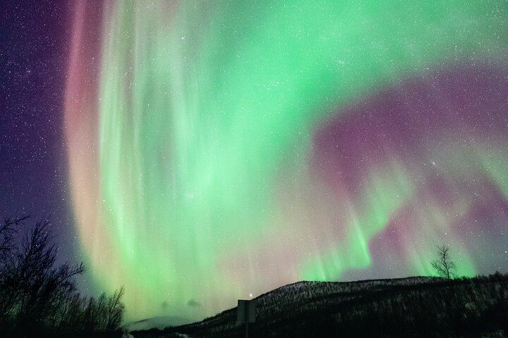 Private Aurora Chase from Rovaniemi by Luxury SUV, No Distance Limit (2/11)