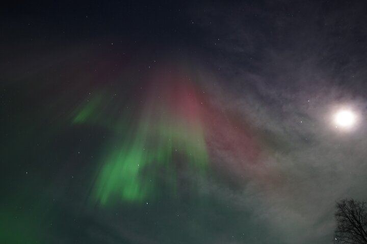 Chasse aux aurores à Rovaniemi avec une garantie de remboursement à 100 % (5/12)