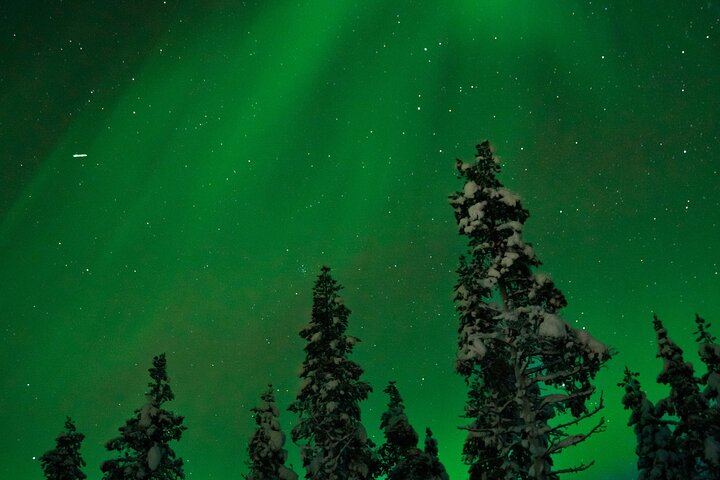 Two Hour Guided Northern Lights Tour from Rovaniemi (1/3)