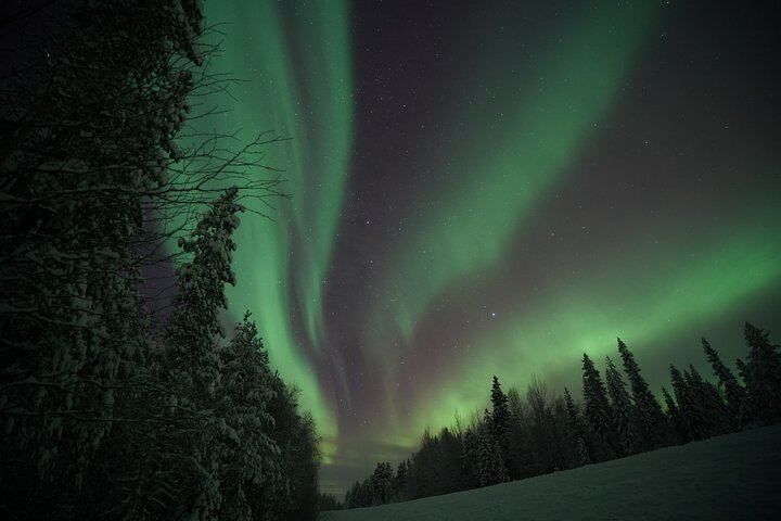 Private Guaranteed Northern Lights Hunt from Rovaniemi with HD Photos (10/12)