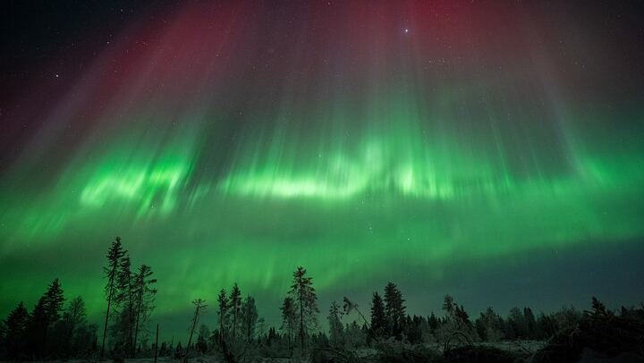 Private Unlimited Range Northern Lights Hunt from Rovaniemi by VIP Van (3/12)