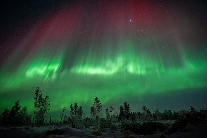 Private Unlimited Range Northern Lights Hunt from Rovaniemi by VIP Van (3/12)