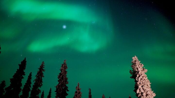 Eine echte Polarlichtjagd ab Rovaniemi in einer kleinen Gruppe, maximal 8 Personen (3/12)