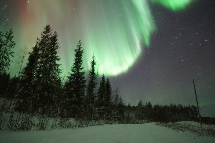 Eine echte Polarlichtjagd ab Rovaniemi in einer kleinen Gruppe, maximal 8 Personen (9/12)