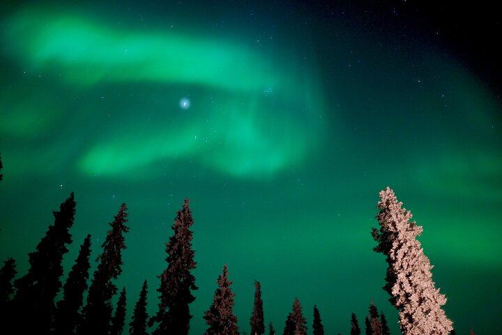 Eine echte Polarlichtjagd ab Rovaniemi in einer kleinen Gruppe, maximal 8 Personen (3/12)