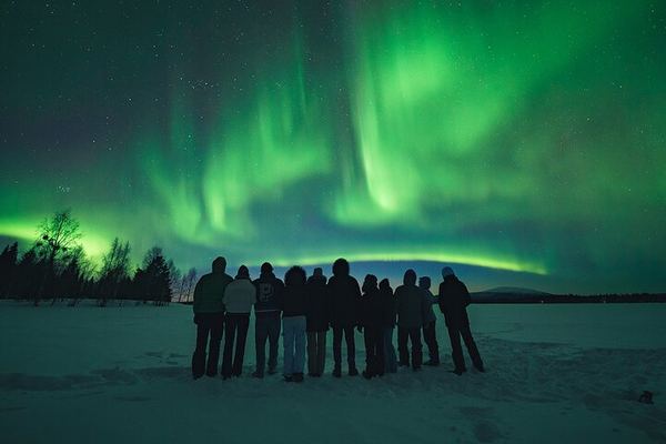 Small Group Aurora Hunt from Rovaniemi with Money Back Guarantee