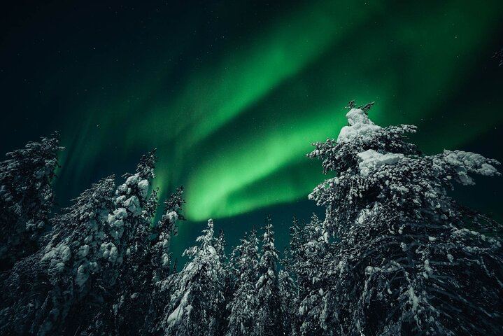 Chasse aux aurores en petit groupe au départ de Rovaniemi, avec garantie de remboursement (5/6)