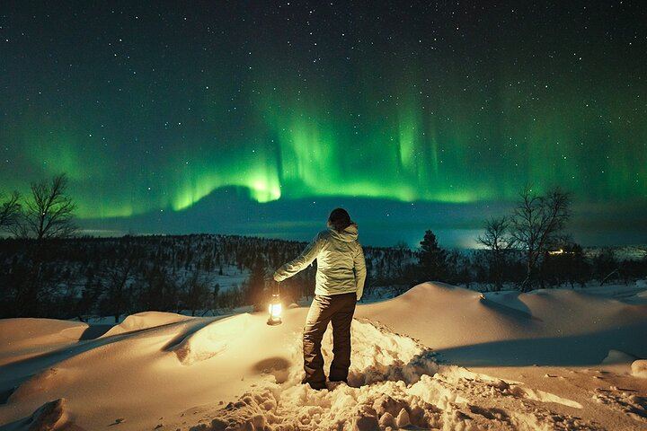 Chasse aux aurores en petit groupe au départ de Rovaniemi, avec garantie de remboursement (1/6)