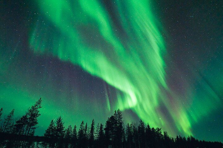 Chasse aux aurores en petit groupe au départ de Rovaniemi, avec garantie de remboursement (2/6)