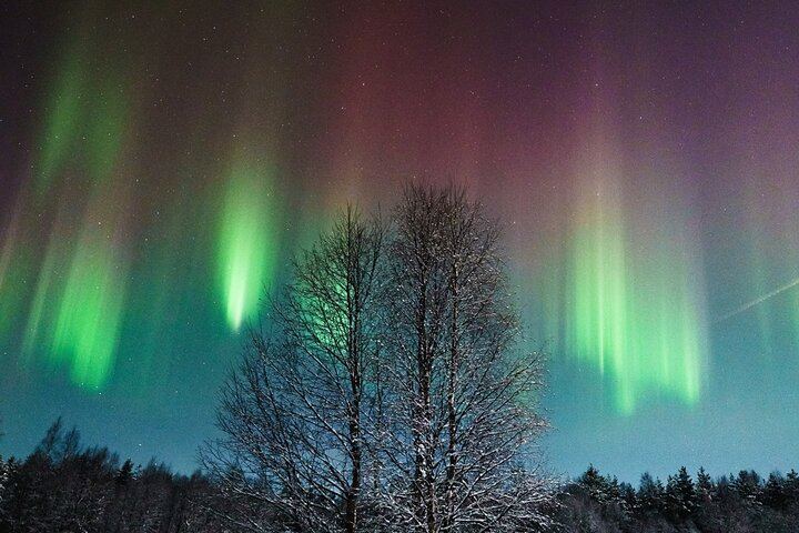Chasse aux aurores en petit groupe au départ de Rovaniemi, avec garantie de remboursement (4/6)