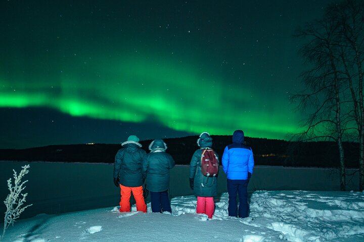 Chasse aux aurores en petit groupe au départ de Rovaniemi, avec garantie de remboursement (6/6)