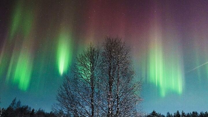Chasse aux aurores en petit groupe au départ de Rovaniemi, avec garantie de remboursement (4/6)