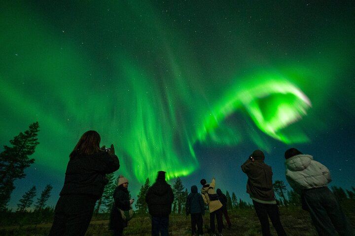 Lapin Taivas Aurora Hunt from Rovaniemi with 75% Money Back Guarantee (3/12)
