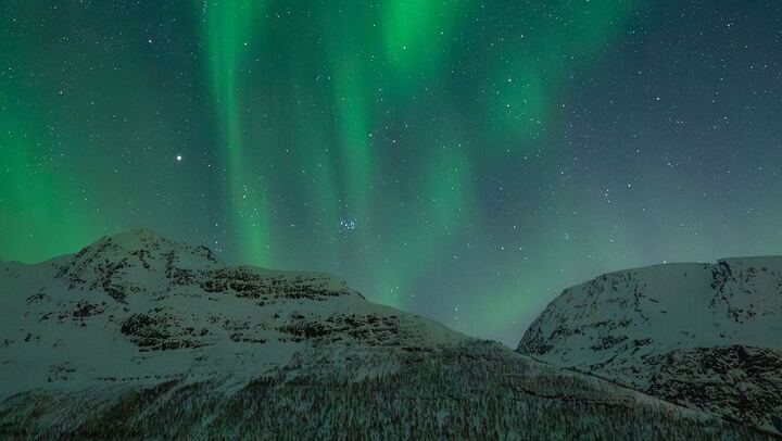 Besuch des Sami-Rentierlagers und Nordlicht-Nacht ab Tromsø (4/7)
