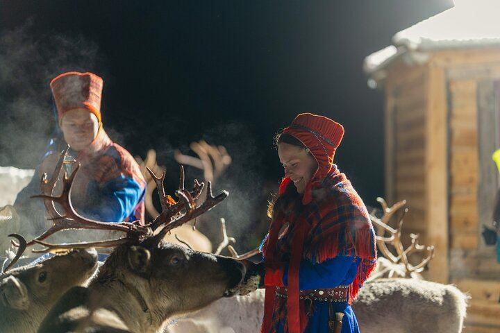 Besuch des Sami-Rentierlagers und Nordlicht-Nacht ab Tromsø (6/7)