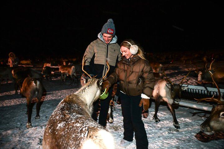 Besuch des Sami-Rentierlagers und Nordlicht-Nacht ab Tromsø (7/7)