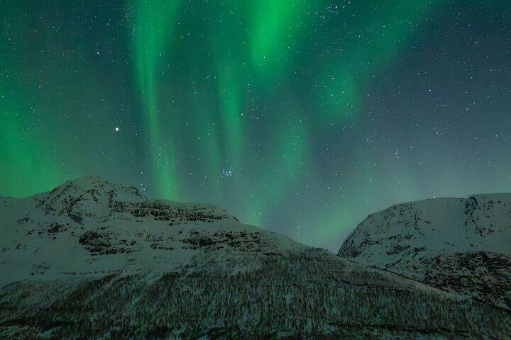 Besuch des Sami-Rentierlagers und Nordlicht-Nacht ab Tromsø (4/7)